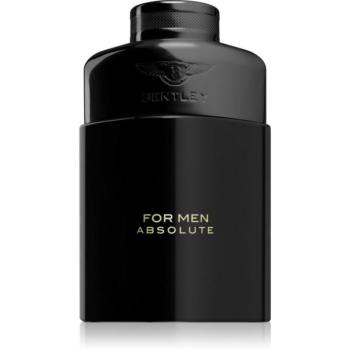 Bentley Bentley for Men Absolute Eau de Parfum uraknak 100 ml kép