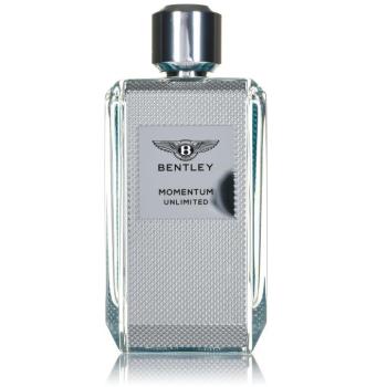 BENTLEY Momentum Unlimited EdT 100 ml