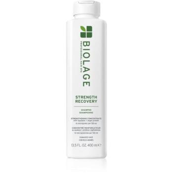 Biolage Strength Recovery erősítő sampon 400 ml kép