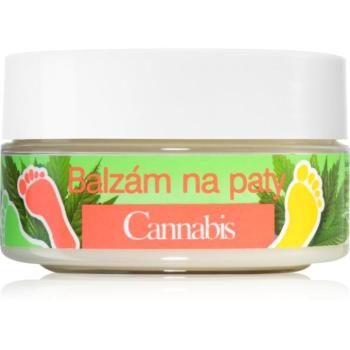 Bione Cosmetics Cannabis balzsam sarokra 150 ml kép