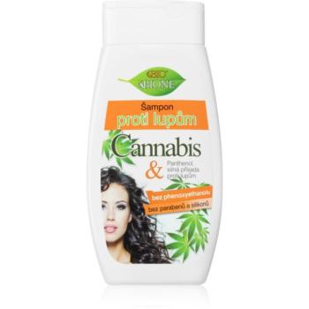 Bione Cosmetics Cannabis korpásodás elleni sampon 260 ml kép