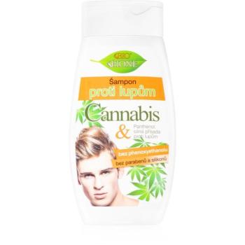 Bione Cosmetics Cannabis korpásodás elleni sampon uraknak 260 ml kép