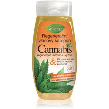 Bione Cosmetics Cannabis regeneráló sampon 260 ml kép