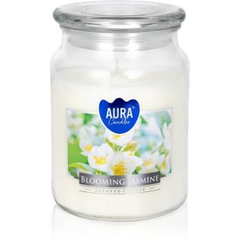 BISPOL Premium Line Blooming Jasmine illatgyertya 500 g kép