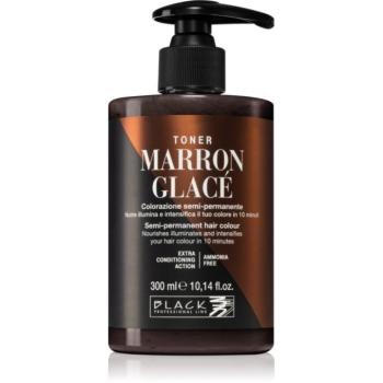 Black Professional Line Toner festék a természetes árnyalatokért 300 ml kép