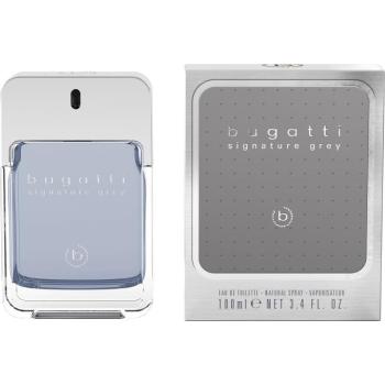 BUGATTI Signature Grey EdT 100 ml kép