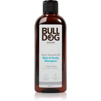 Bulldog Anti-Dandruff Shampoo korpásodás elleni sampon 300 ml kép