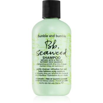 Bumble and bumble Seaweed Shampoo sampon hullámos hajra tengeri moszat kivonatokkal 250 ml kép