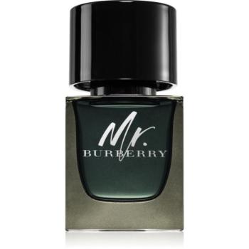 Burberry Mr. Burberry Eau de Parfum uraknak 50 ml kép