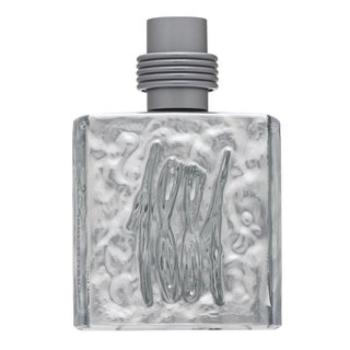 Cerruti 1881 Silver Eau de Toilette férfiaknak 100 ml kép