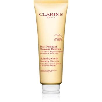 Clarins Cleansing Hydrating Gentle Foaming Cleanser tisztító hab hidratáló hatással 125 ml kép