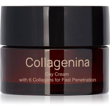 Collagenina Grade 3 Day Cream feszesítő nappali krém kollagénnel 50 ml kép