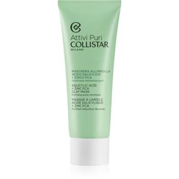 Collistar Attivi Puri Salicylic Acid + Zinc Clay Mask agyagos maszk hialuronsavval 75 ml kép