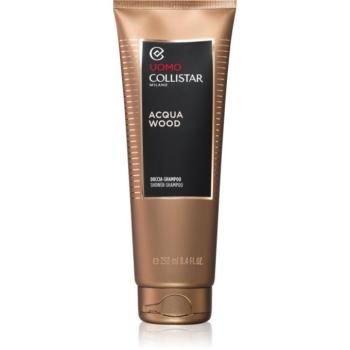Collistar Uomo Acqua Wood Shower Shampoo tusoló sampon uraknak 250 ml kép