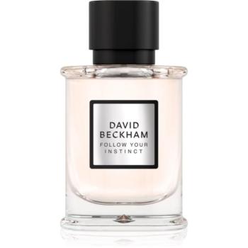 David Beckham Follow Your Instinct Eau de Parfum uraknak 50 ml kép