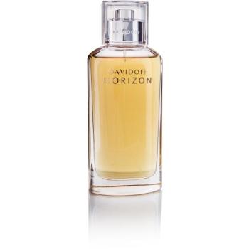DAVIDOFF Horizon EdT 125 ml kép