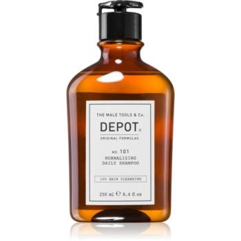DEPOT 100 HAIR CLEANSING NO. 101 NORMALIZING DAILY SHAMPOO normalizáló sampon mindennapi használatra 250 ml kép
