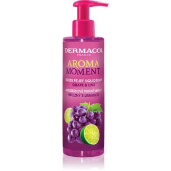 Dermacol Aroma Moment Grape & Lime antistressz folyékony szappan 250 ml kép