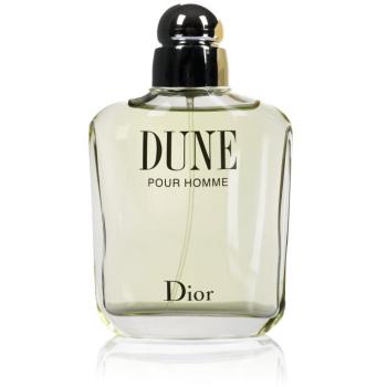 DIOR Dune Pour Homme EdT 100 ml kép