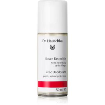 Dr. Hauschka Body Care Rose Deodorant rózsa dezodor roll-on 50 ml kép