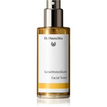 Dr. Hauschka Clenasing And Tonization Facial Toner arc tonik spray normál és száraz bőrre 100 ml kép