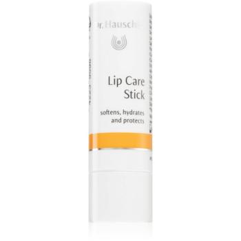 Dr. Hauschka Eye And Lip Care Lip Care Stick ápoló szájceruza 4.9 g kép