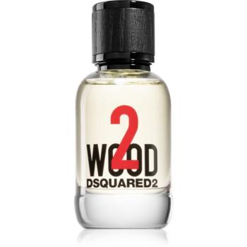 Dsquared2 2 wood Eau de Toilette uraknak 50 ml kép