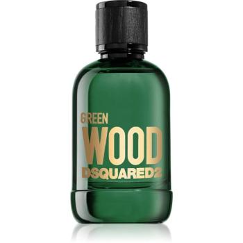 Dsquared2 Green Wood Eau de Toilette uraknak 100 ml kép