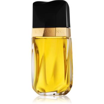 Estée Lauder Knowing EDP Eau de Parfum hölgyeknek 75 ml kép