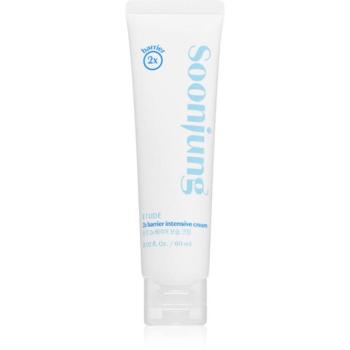 ETUDE SoonJung 2x Barrier Intensive Cream intenzíven hidratáló krém a bőrréteg megújítására 60 ml kép