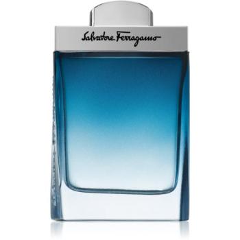 Ferragamo Subtil Pour Homme Eau de Toilette uraknak 100 ml kép