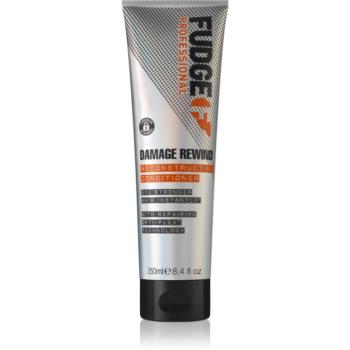 Fudge Care Damage Rewind kondicionáló a gyenge és sérült hajra 250 g kép
