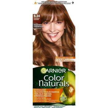 GARNIER Color Naturals tartós hajfesték 6.34 Csokoládé, 60+40+12 ml kép