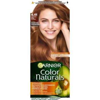 GARNIER Color Naturals tartós hajfesték 6.41 Meleg borostyán, 60+40+12 ml kép