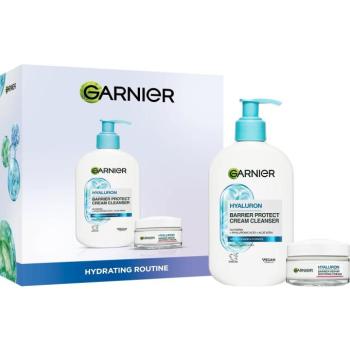 GARNIER Hyaluron 300 ml kép