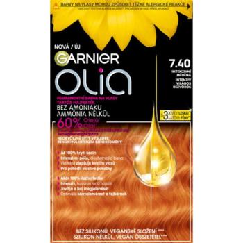 Garnier Olia Big Kit tartós hajfesték 1 db kép