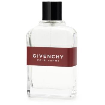 GIVENCHY Givenchy Pour Homme EdT 100 ml kép
