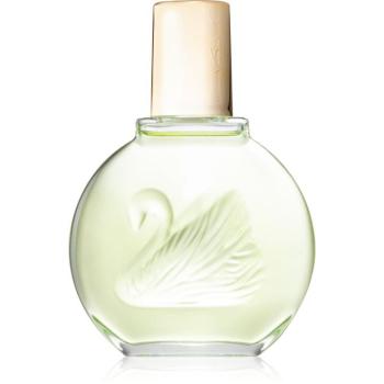 Gloria Vanderbilt Jardin a New York Eau de Parfum hölgyeknek 100 ml kép
