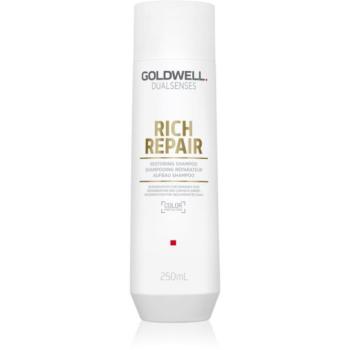 Goldwell Dualsenses Rich Repair megújító sampon száraz és sérült hajra 250 ml kép