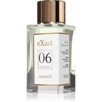 Hamidi eXact 06 Eau de Parfum hölgyeknek 100 ml kép