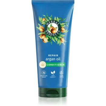 Herbal Essences Argan Oil Repair hidratáló kondicionáló a károsult hajra 250 ml kép