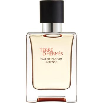 HERMÈS Terre d’Hermès Eau de Parfum Intense Eau de Parfum intense uraknak 50 ml kép