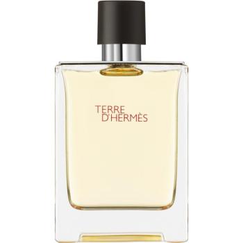 HERMÈS Terre d’Hermès Eau de Toilette uraknak 100 ml kép