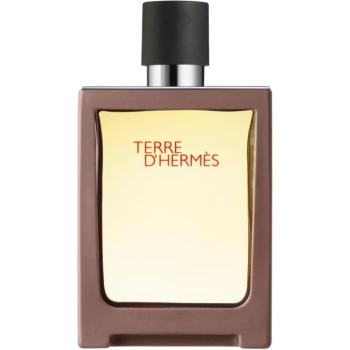 HERMÈS Terre d’Hermès Eau de Toilette utazó spray uraknak 30 ml kép
