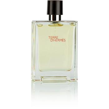 HERMES Terre d' Hermés EdT 100 ml kép