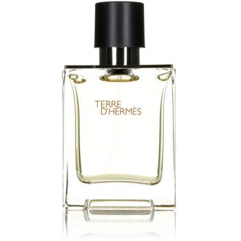 HERMES Terre d' Hermes EdT 50 ml kép