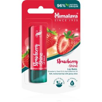 Himalaya Herbals Strawberry Shine ajakbalzsam eper ízzel 4.5 g kép