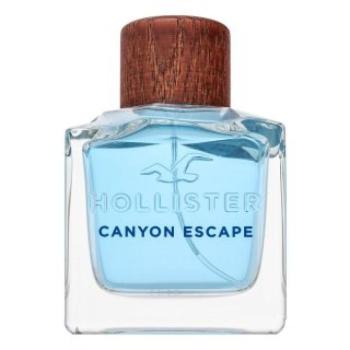 Hollister Canyon Escape Eau de Toilette férfiaknak 100 ml kép