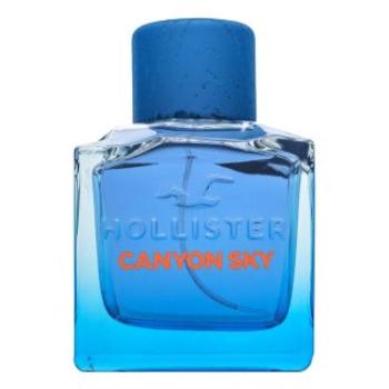 Hollister Canyon Sky For Him Eau de Toilette férfiaknak 100 ml kép