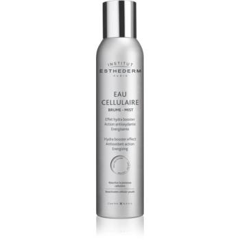 Institut Esthederm Cellular Water Mist energizáló hidratáló arcpermet sejtvízzel 200 ml kép